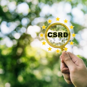 CSRDとは?企業が知っておくべき適用基準とNFRD/CSDDDの違いを解説