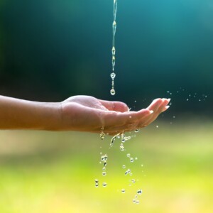 30 by 30目標を徹底解説:陸と海の30%を守る持続可能な未来