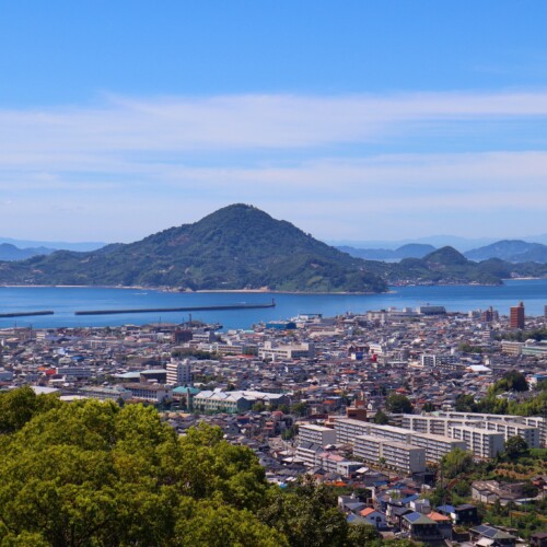 愛媛県のカーボンニュートラル戦略｜企業の脱炭素取り組み事例