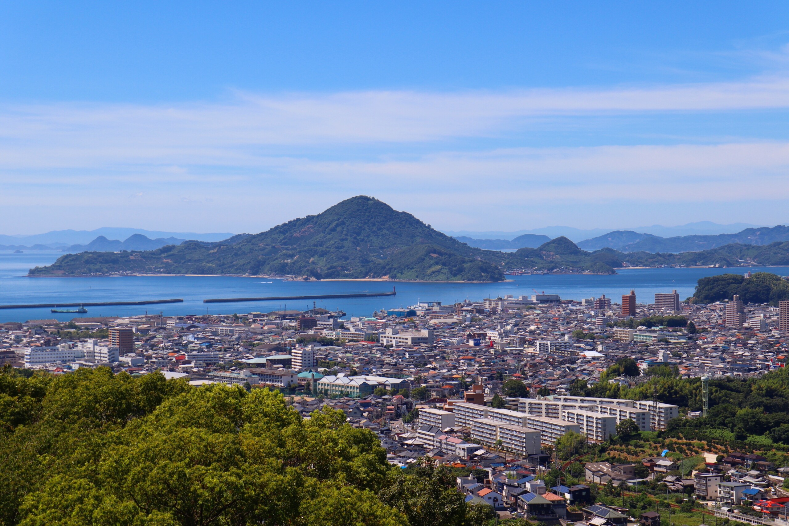 愛媛県のカーボンニュートラル戦略|企業の脱炭素取り組み事例