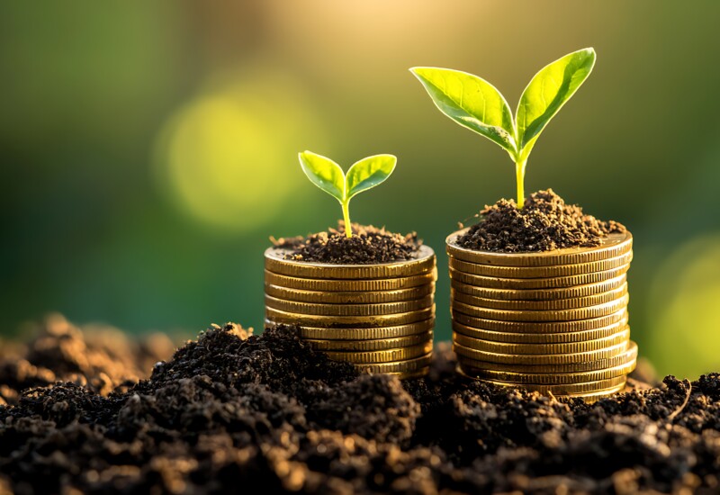 サステナビリティリンクローン（SLL）とは？ 基本的な原則から事例まで解説！